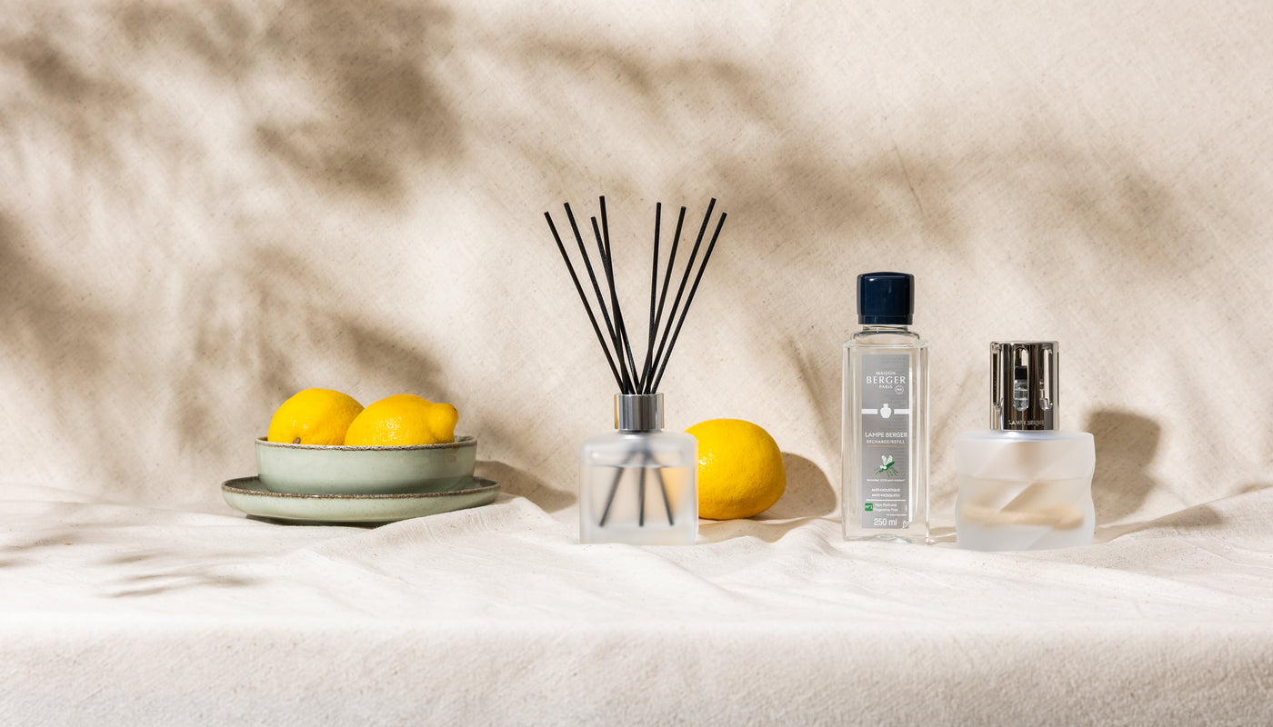 Le parfum de l’été : la citronnelle