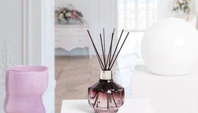 Diffuseurs de parfums à tiges : de multiples parfums pour des designs élégants et variés