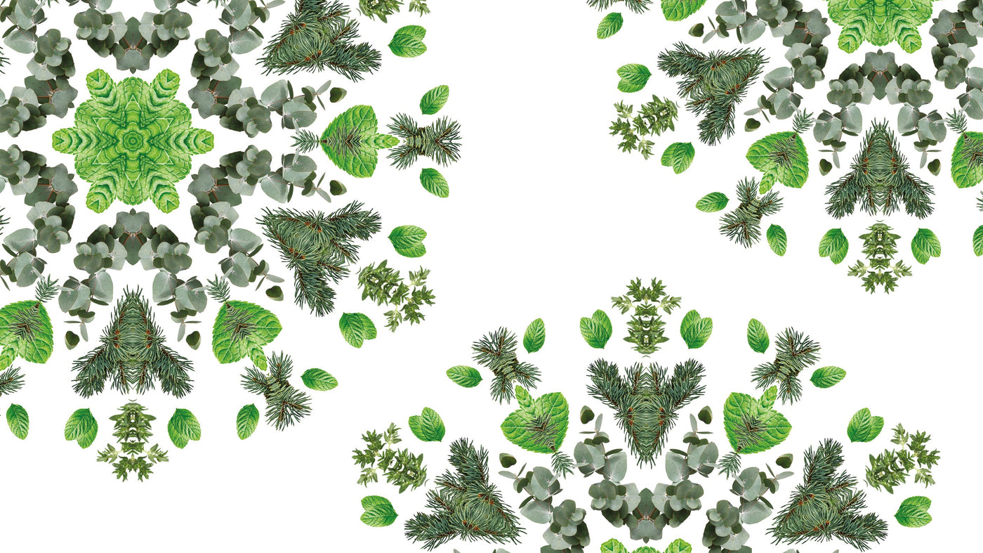 Aroma Respire Ballade Glacée