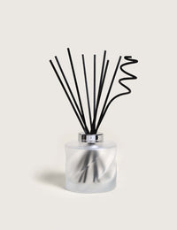 Bouquet Spirale Givré