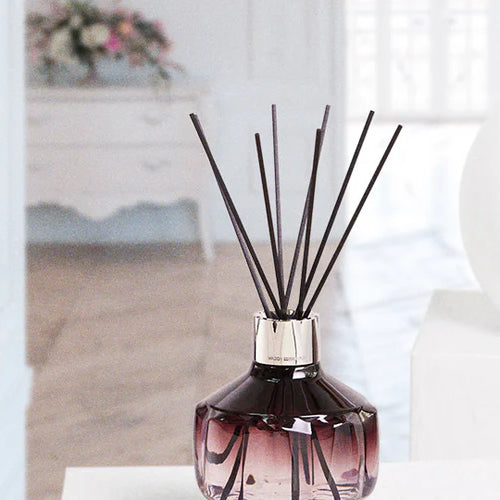 Diffuseurs de parfums à tiges : de multiples parfums pour des designs élégants et variés.