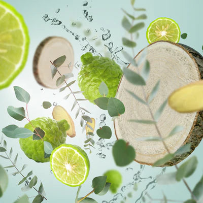 Aroma Wake-up Envolée Boisée