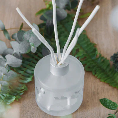 Diffuseurs d’huiles essentielles à bâtons : quand le bien-être se ressent dans la maison