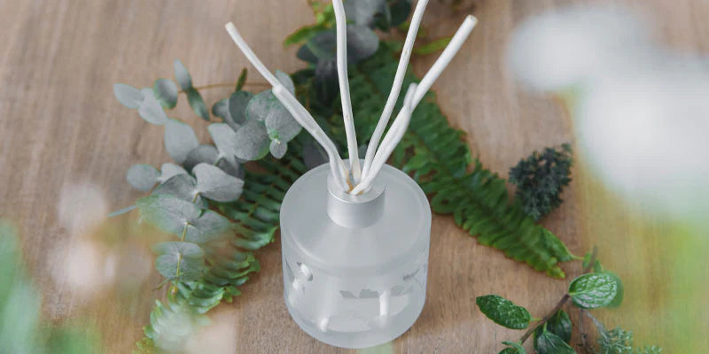 Diffuseurs d’huiles essentielles à bâtons : quand le bien-être se ressent dans la maison