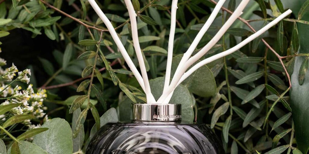 Diffuseurs de parfum à bâtonnets : un monde de senteurs pour votre foyer