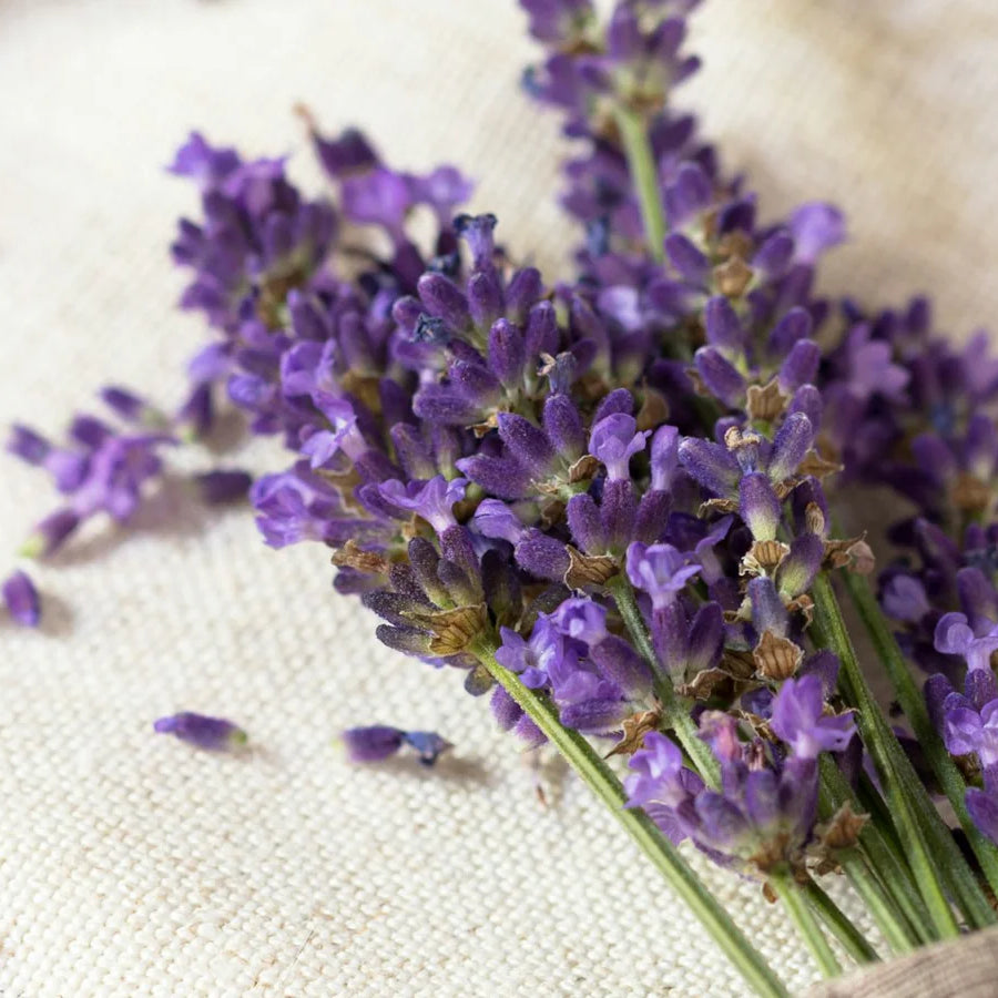 Diffuseurs de parfums à la lavande : fraîcheur et propreté dans votre intérieur