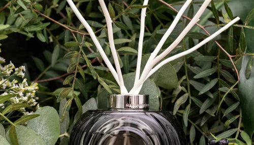 Diffuseurs de parfum à bâtonnets : un monde de senteurs pour votre foyer