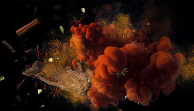 Parfums d’intérieur pour la maison : découvrez notre très large gamme de senteurs