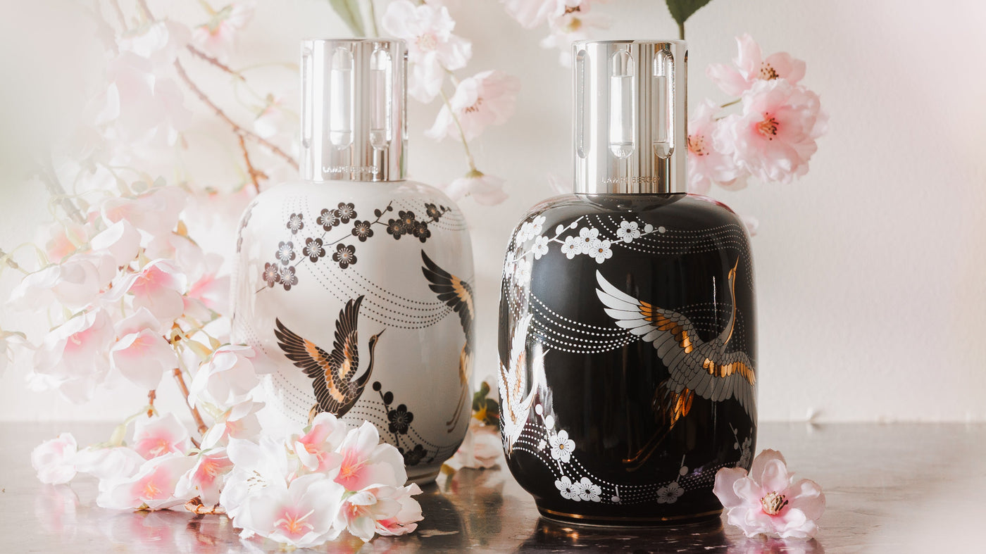 Collection Sakura