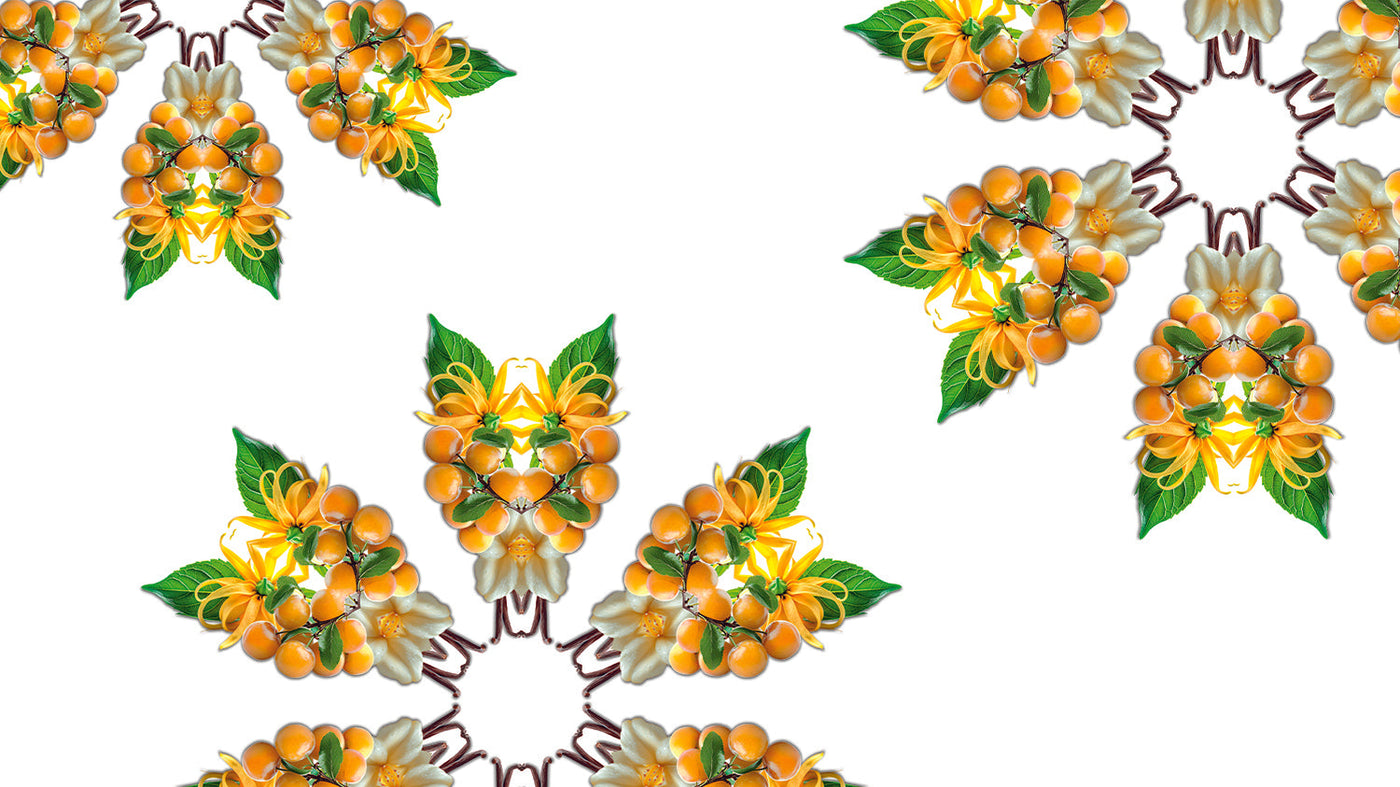 Soleil Fruité