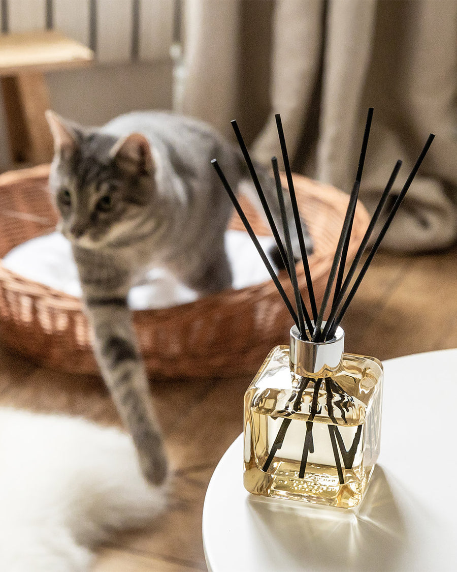 Bouquet parfumé Vanille Gourmet