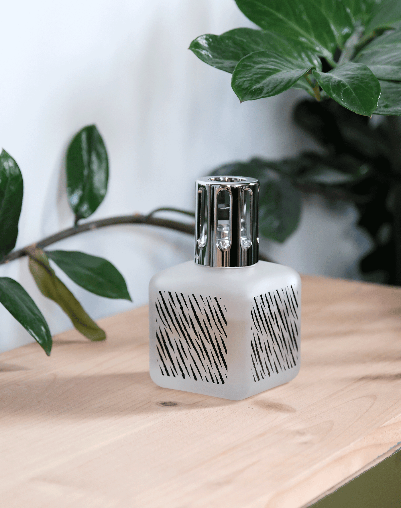 Coffret lampe Berger Glaçon Zebra