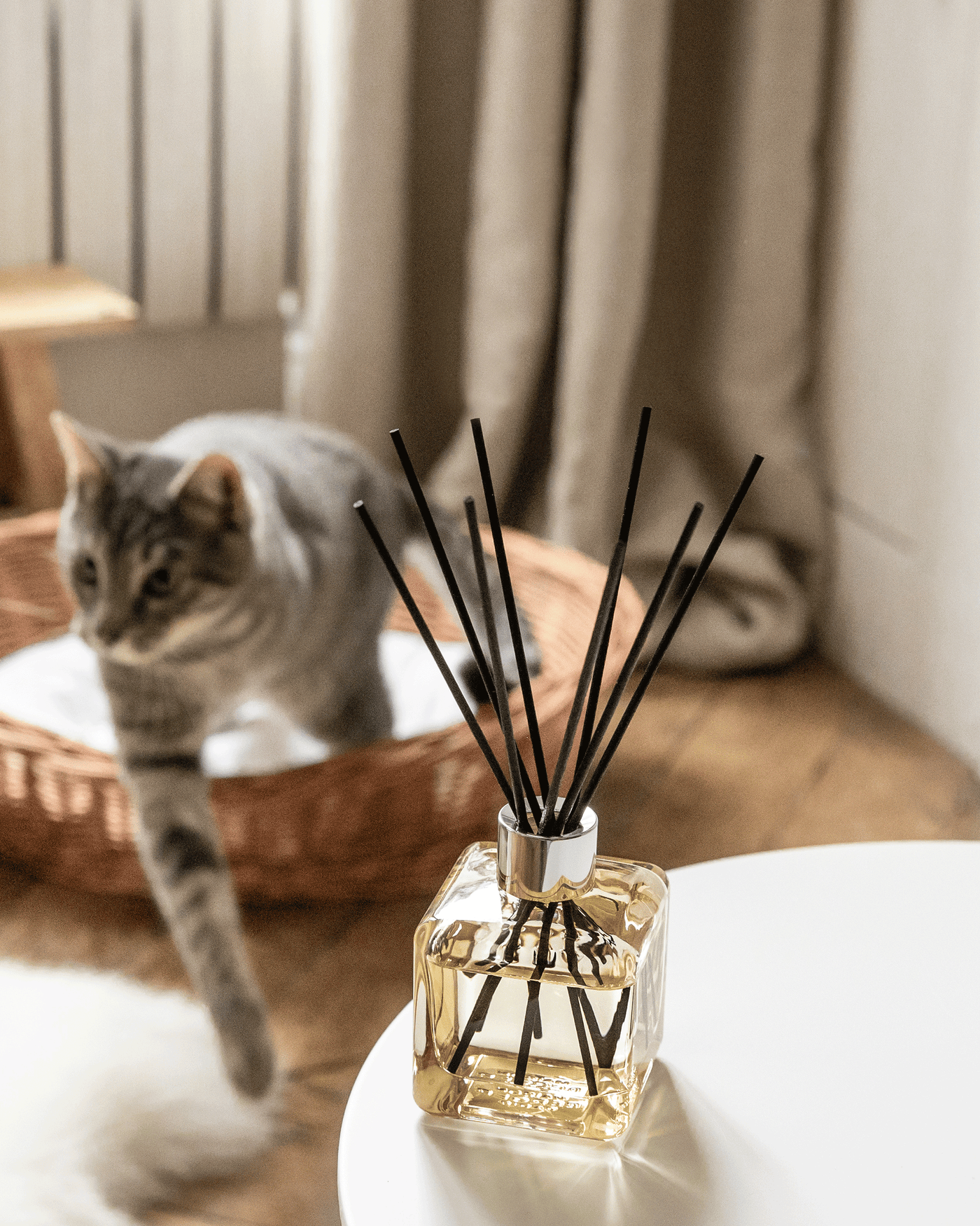 Bouquet parfumé Mon Intérieur Sans Odeurs d'Animaux